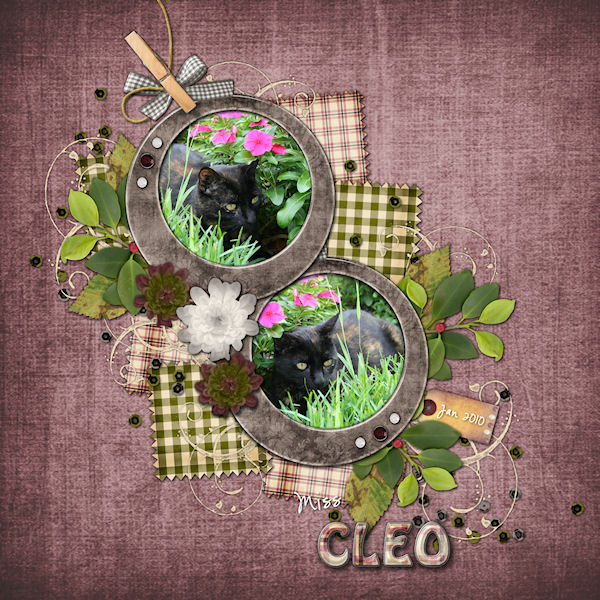 Miss Cleo