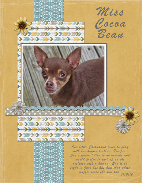 Miss Cocoa Bean