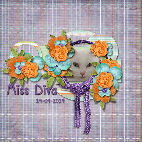 Miss Diva