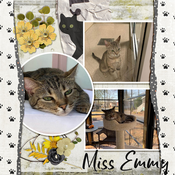 Miss Emmey