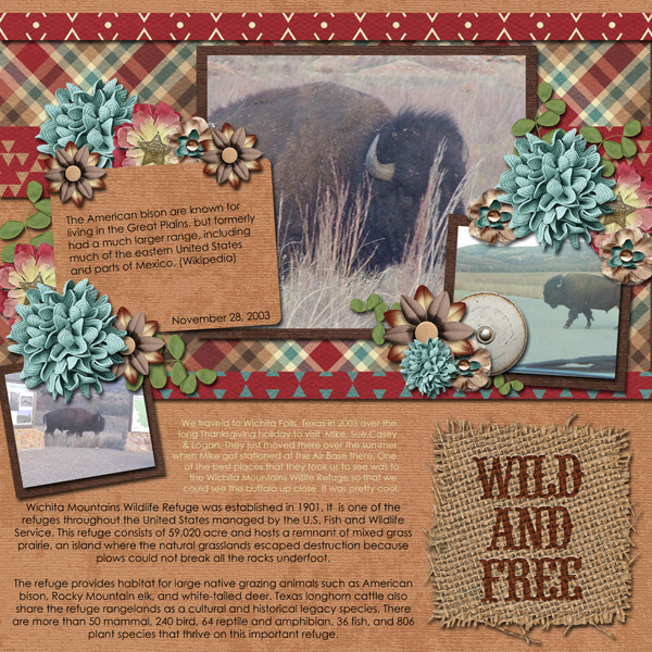 Miss Fish Retirement-Story Time 2 Jocee- Wonderful Wild West