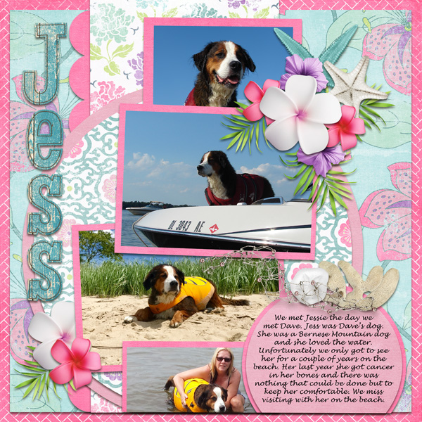 Miss Fish Vacation Album Bundle Summer Adventure.LDrag-Surfer Girl Day Drea