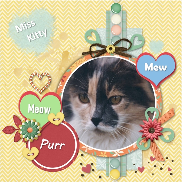 Miss Kitty