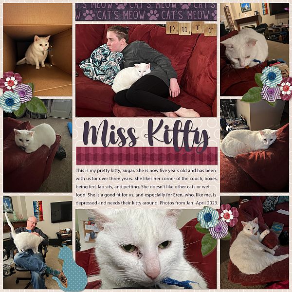 Miss Kitty