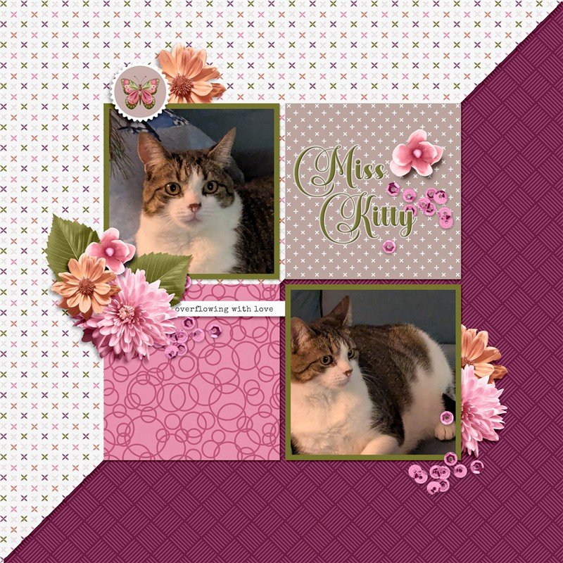Miss Kitty
