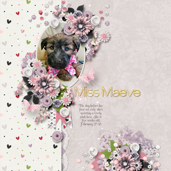 Miss Maeve