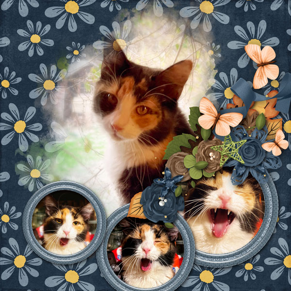 Miss Marie