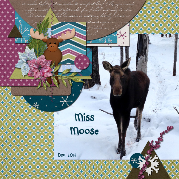 Miss Moose