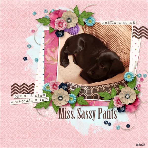 Miss Sassy Pants