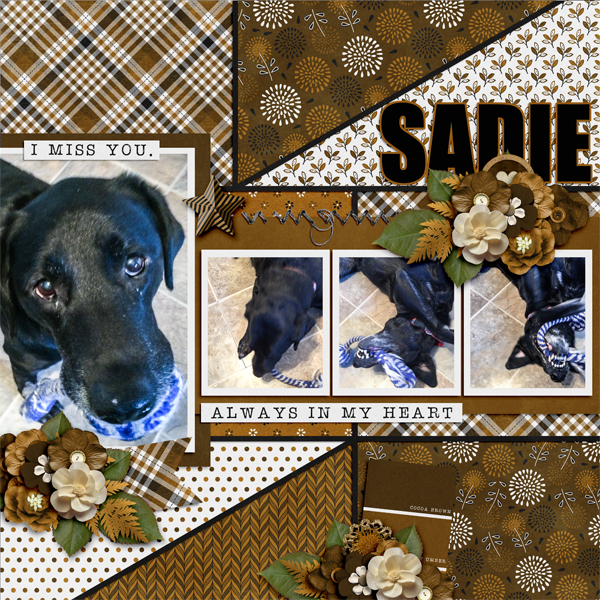 Miss You Sadie