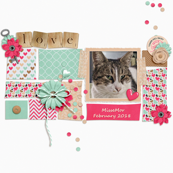 Missemor February 2018