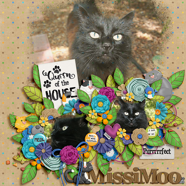 MissiMoo