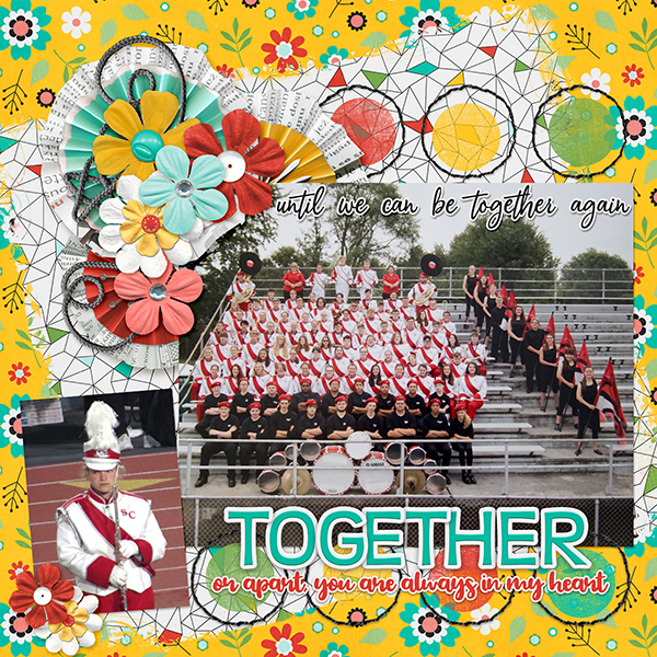 Missing Band