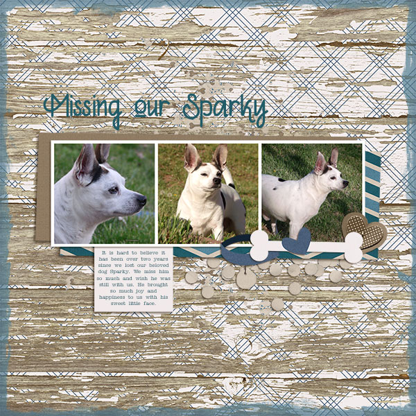 Missing Our Sparky