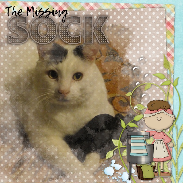 Missing Sock