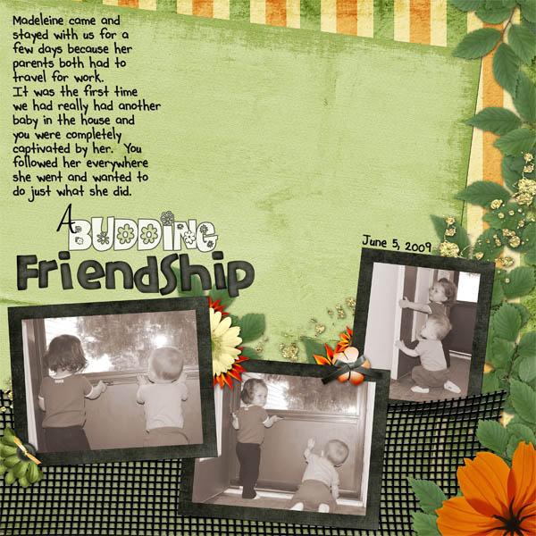 Mission 5  - Budding Friendship