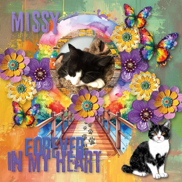 Missy forever in my heart