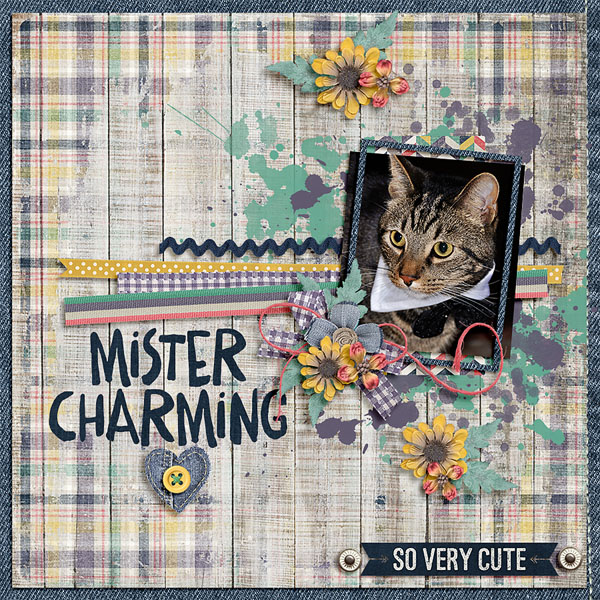 mister charming