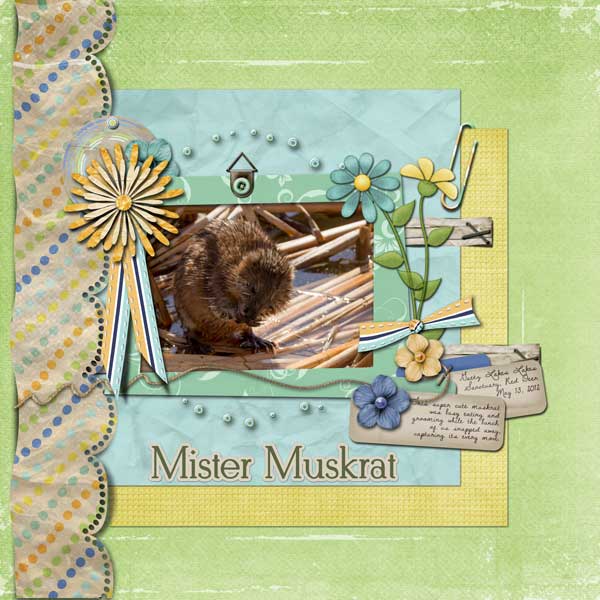 Mister Muskrat