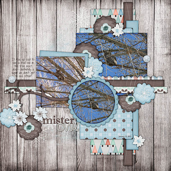 MisterOwl