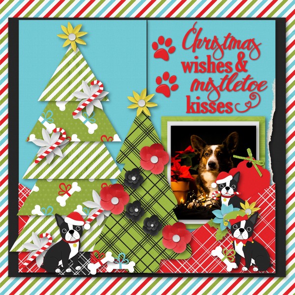 Mistletoe Kisses