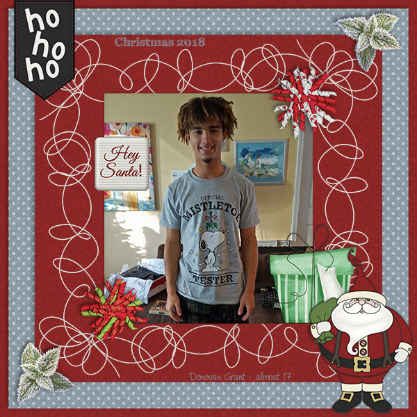 Mistletoe Tester