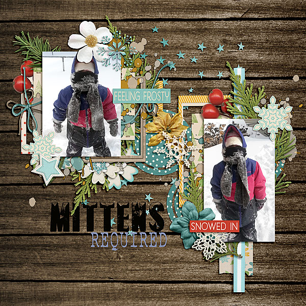 Mitten Required