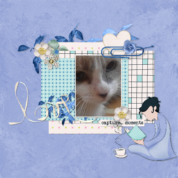 Mittens4