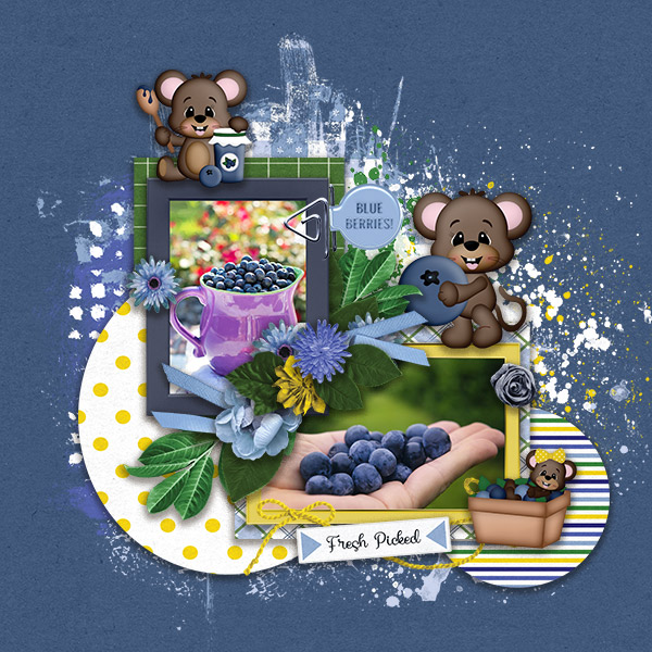 MM_BlueberryPatch_01psd