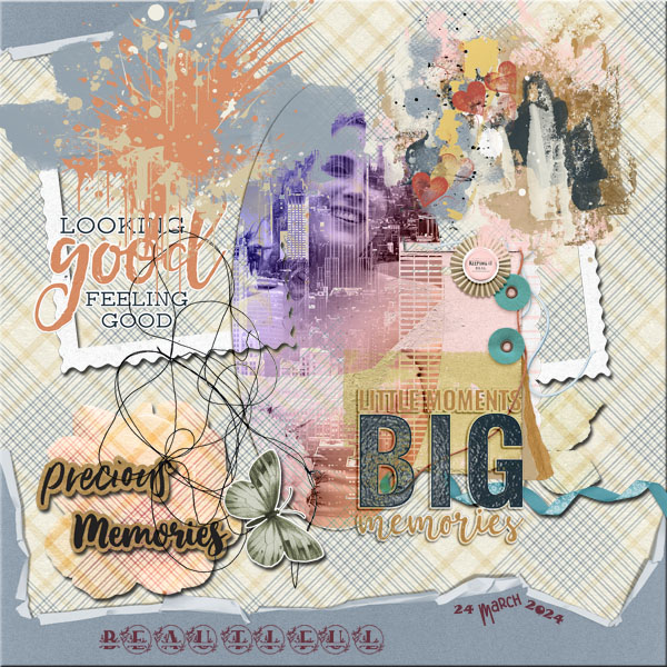 MM_Junk_Joural_web