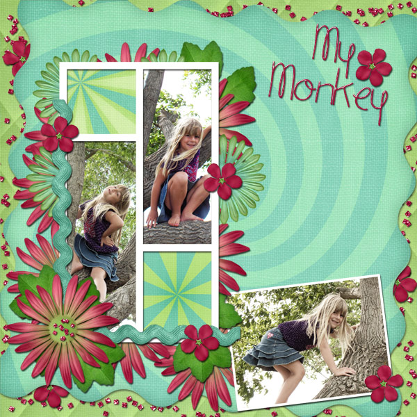 mmdb_WLTP_lomonkey
