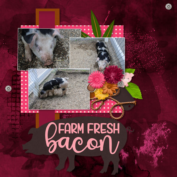 Mmm Bacon