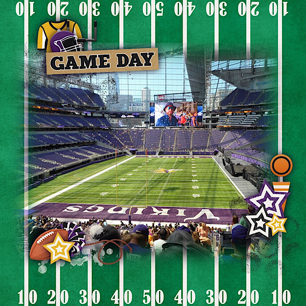 MN Vikings Stadium