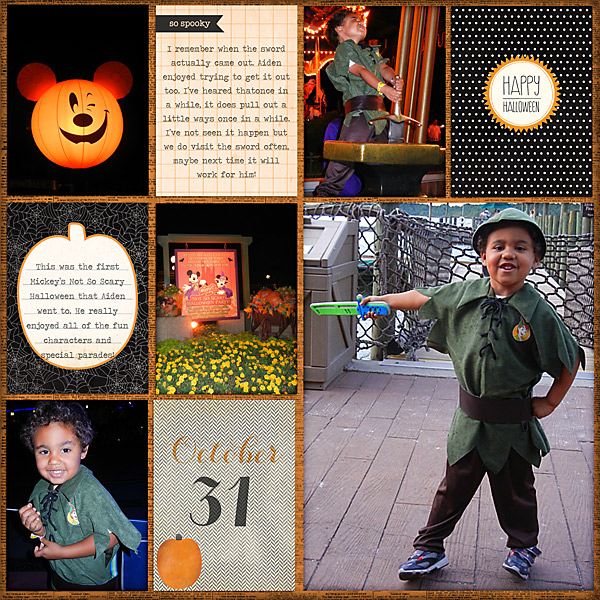MNSSHP 2011