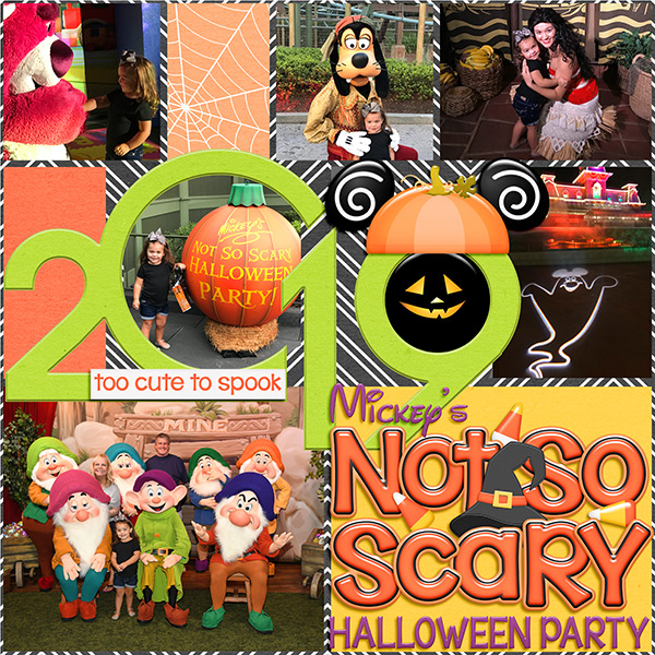 MNSSHP 2019