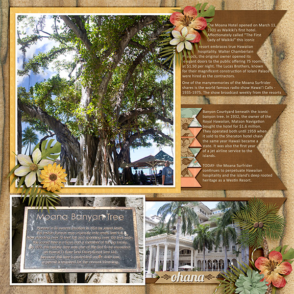 Moana- Banyon Tree