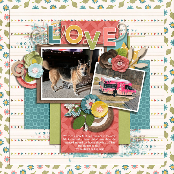 Mobile Groomer