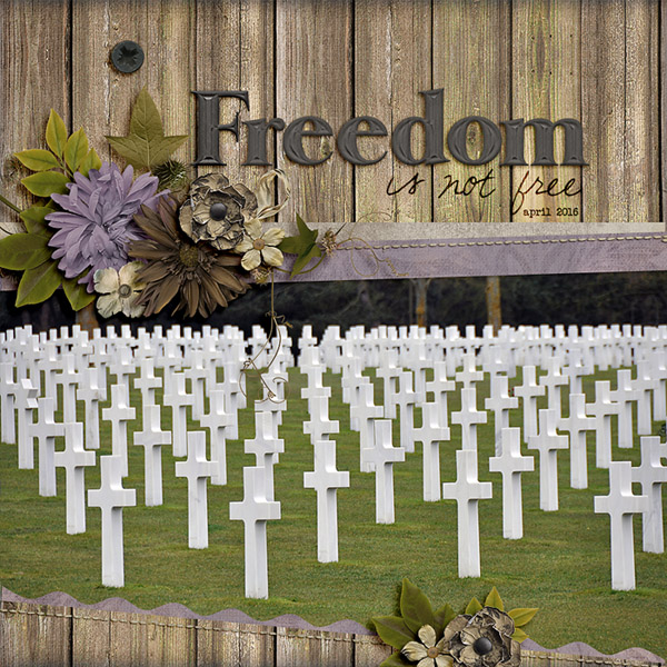 Moc 5 day 16 freedom