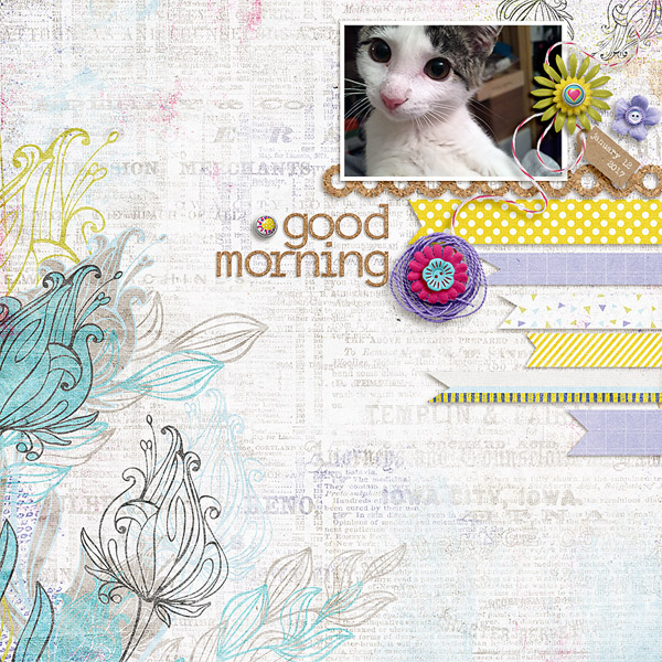 moc5 Day 11 good morning