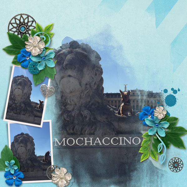 MochaLion