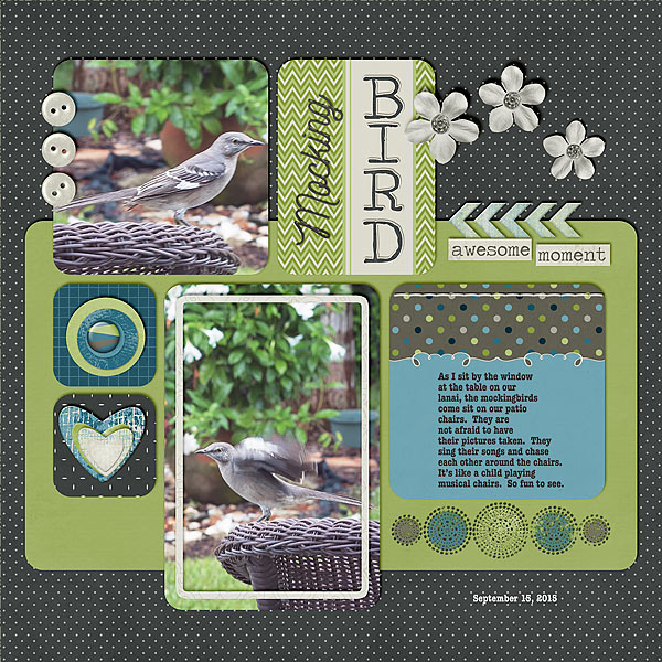 Mocking Bird