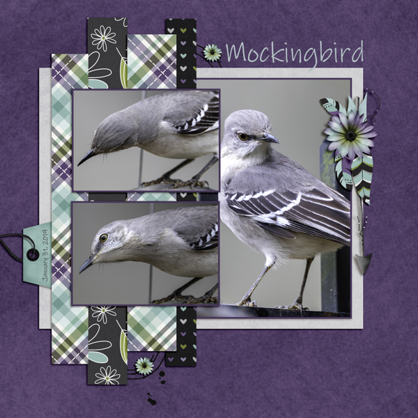 Mockingbird