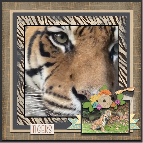 Mogo Zoo