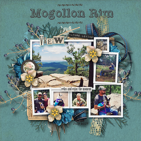 Mogollon Rim