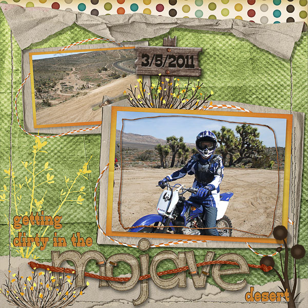 Mojave