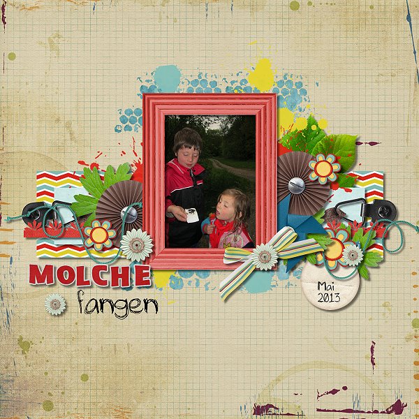 Molche fangen