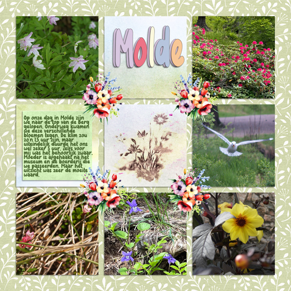 Molde flowers