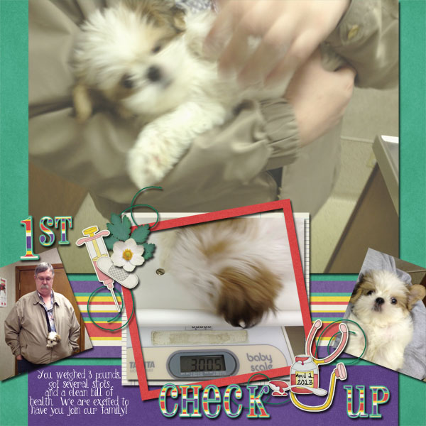 Molly 1st check up
