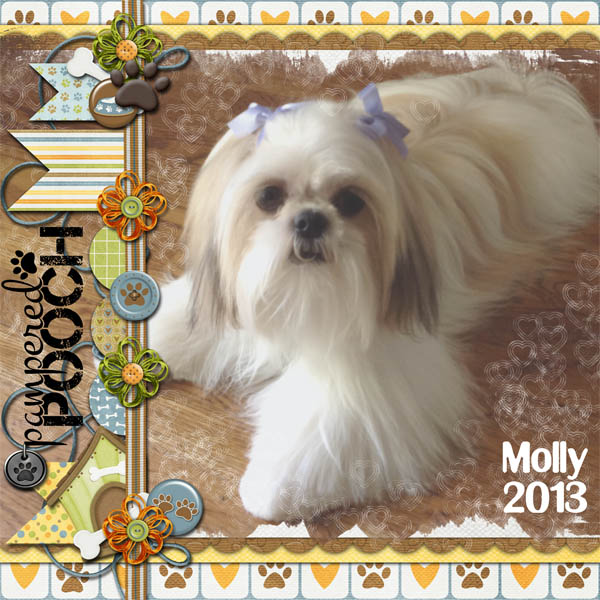 Molly 2013