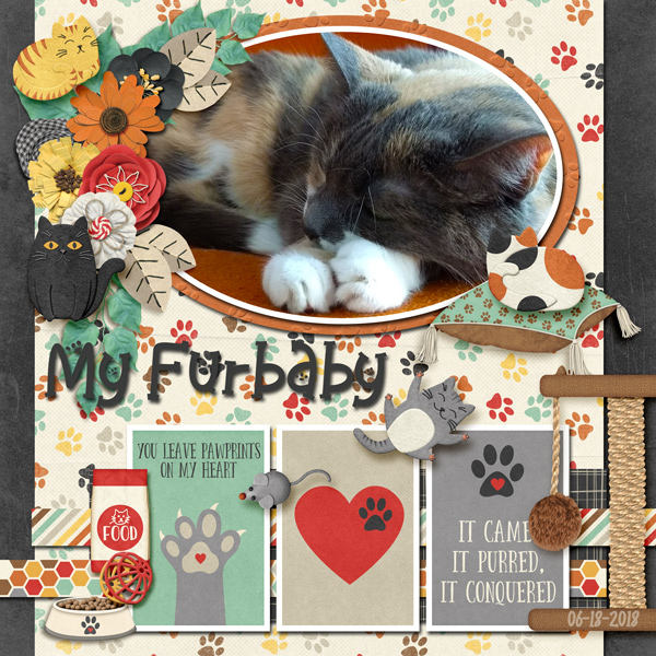 Molly My Furbaby